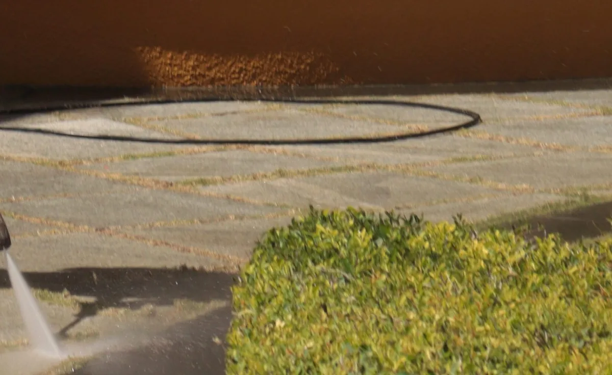 Water blaster jet cleaning grime off stone pavers beside a clipped hedge and garden bed